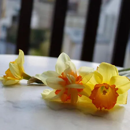 Le Hoc-1 By Interhome * Deauville