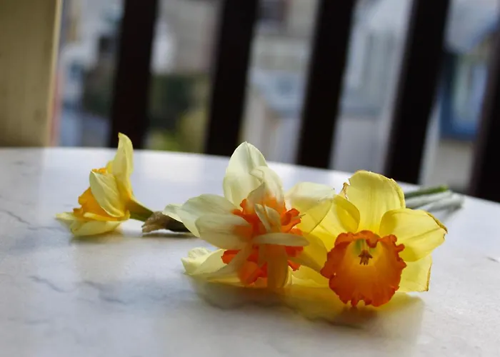 Le Hoc-1 By Interhome * דוביל